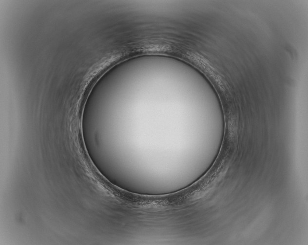 X0000112790721200909041411