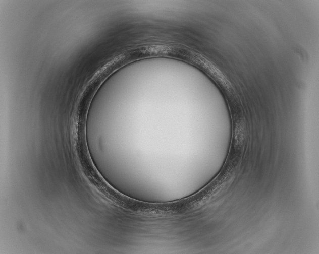 X0000112790722200909041411