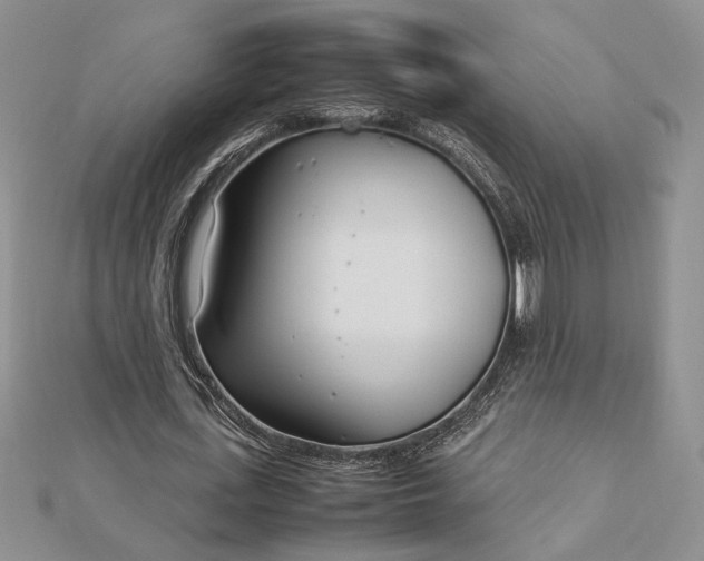 X0000112790723200909041411