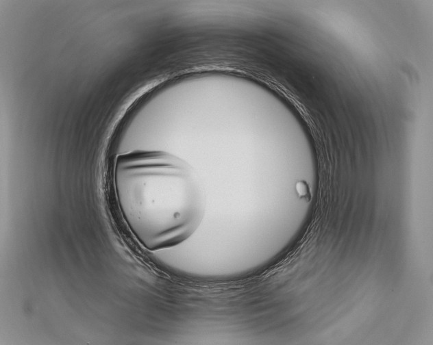 X0000112790724200909041411