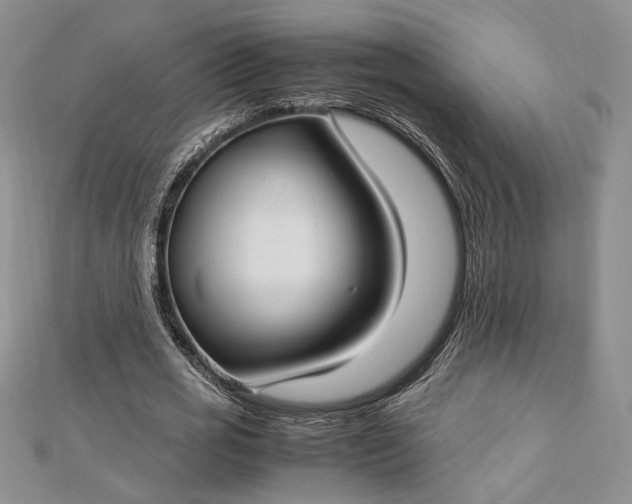 X0000112790725200909041411