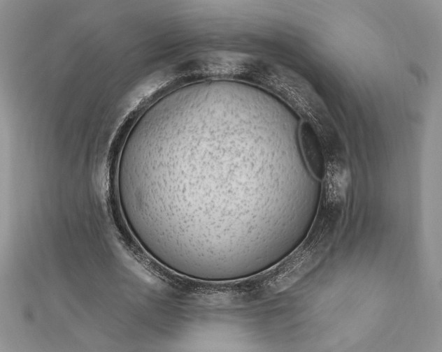 X0000112790726200909041411