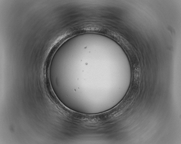 X0000112790727200909041411