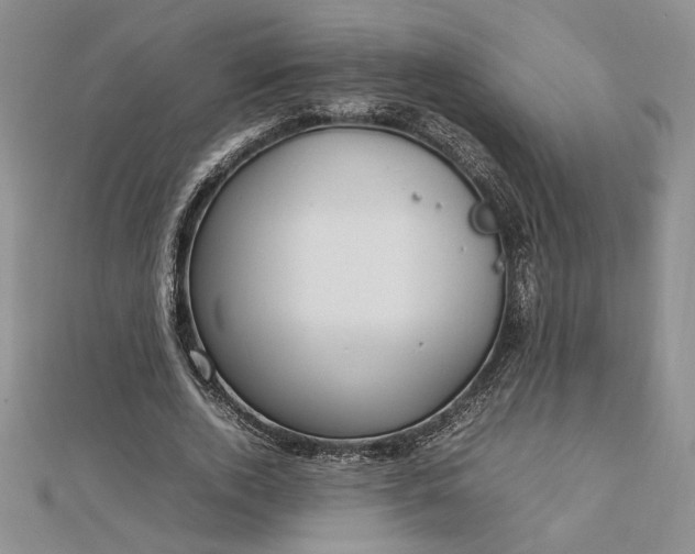 X0000112790728200909041411