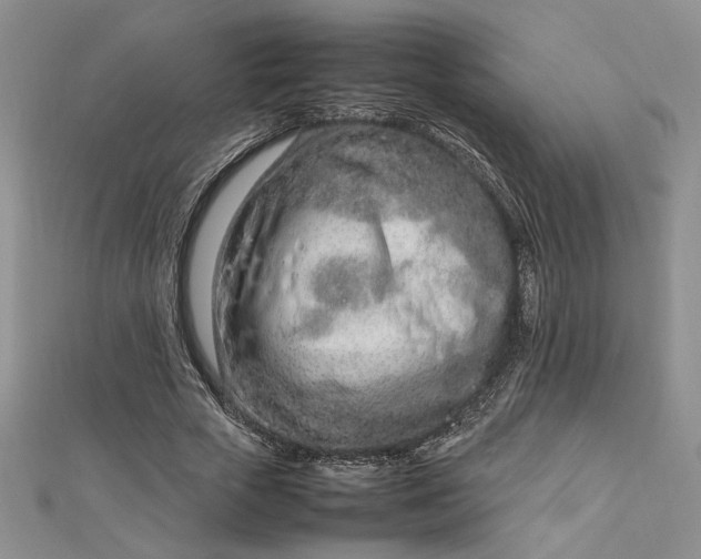 X0000112790729200909041411