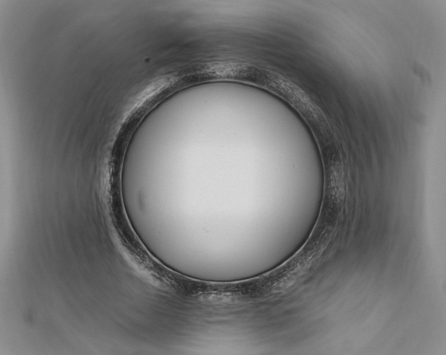 X0000112790730200909041411