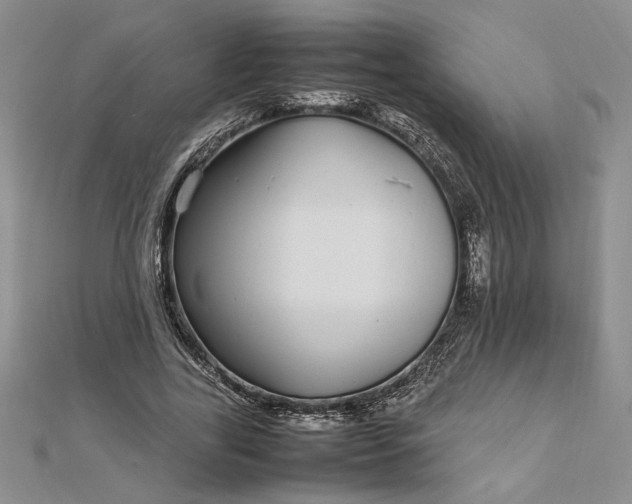 X0000112790731200909041411