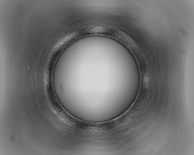 X0000112790732200909041411