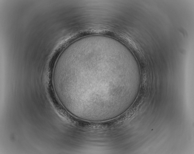 X0000112790736200909041411