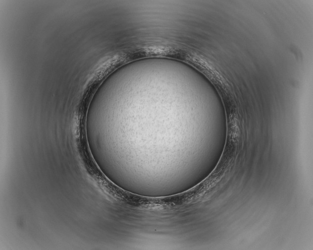 X0000112790738200909041411