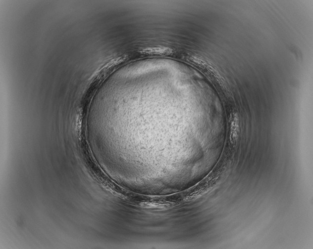 X0000112790739200909041411