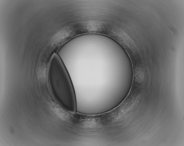 X0000112790740200909041411