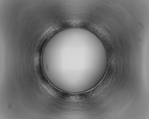 X0000112790744200909041412