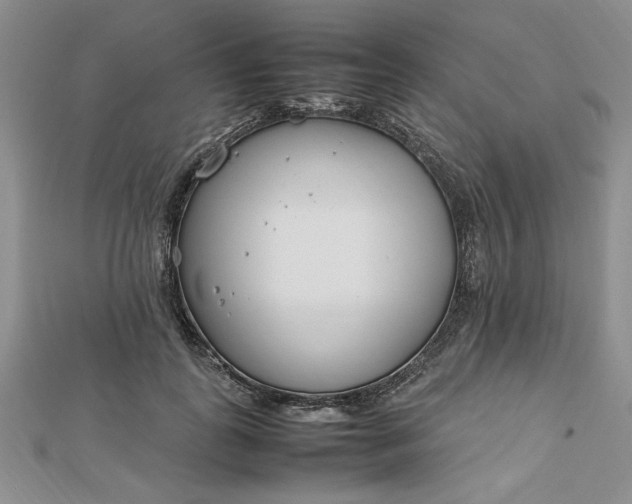 X0000112790747200909041412