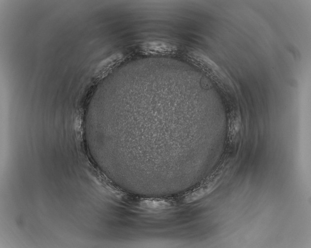 X0000112790749200909041412