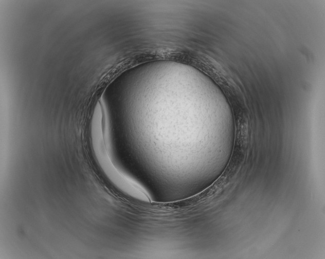 X0000112790750200909041412