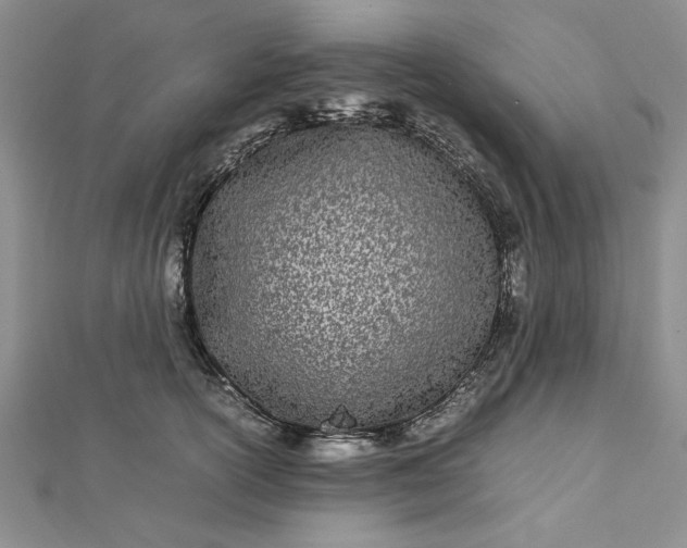 X0000112790754200909041412