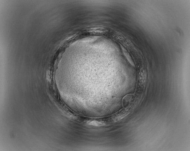 X0000112790755200909041412