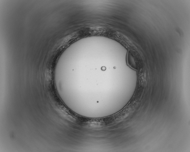 X0000112790756200909041412