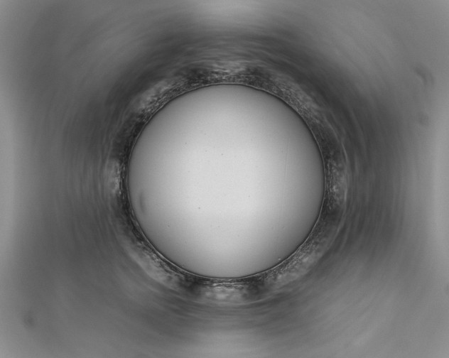 X0000112790758200909041412