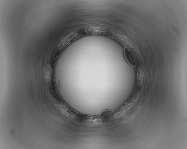 X0000112790760200909041412