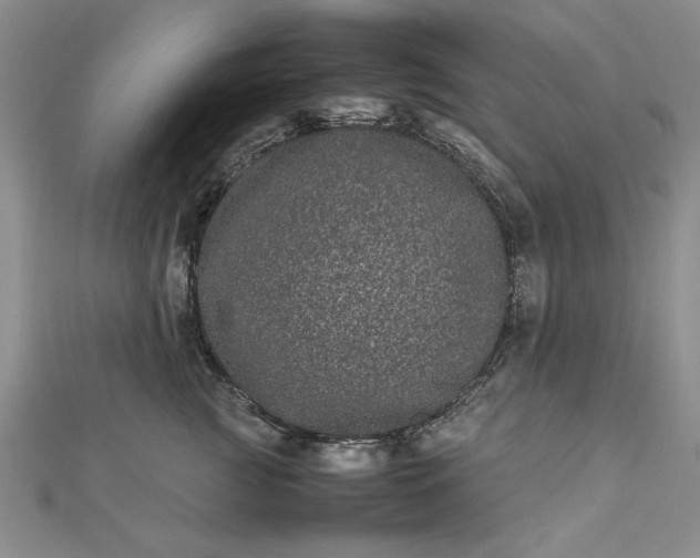 X0000112790761200909041412