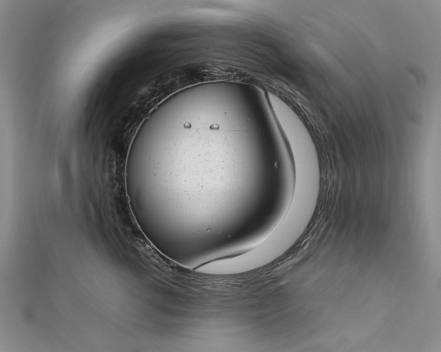 X0000112790762200909041412