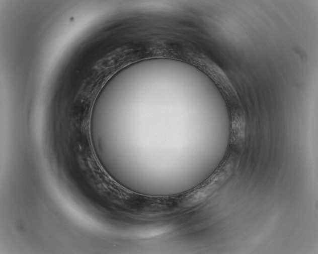 X0000112790765200909041412