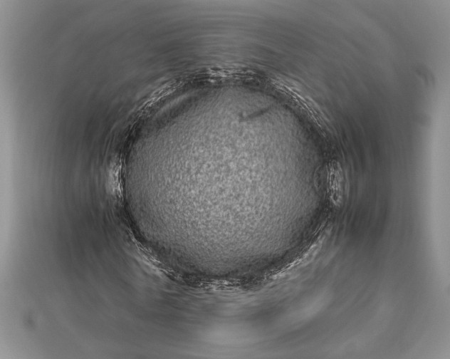 X0000112790770200909041411