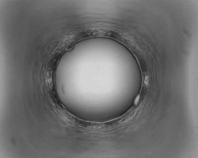 X0000112790771200909041411