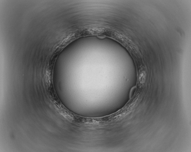 X0000112790772200909041411