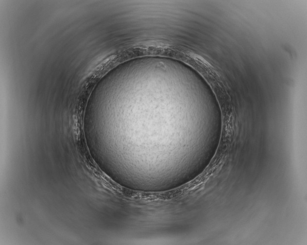 X0000112790774200909041411