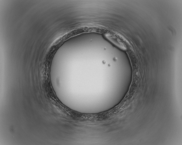 X0000112790775200909041411