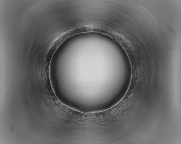 X0000112790776200909041411