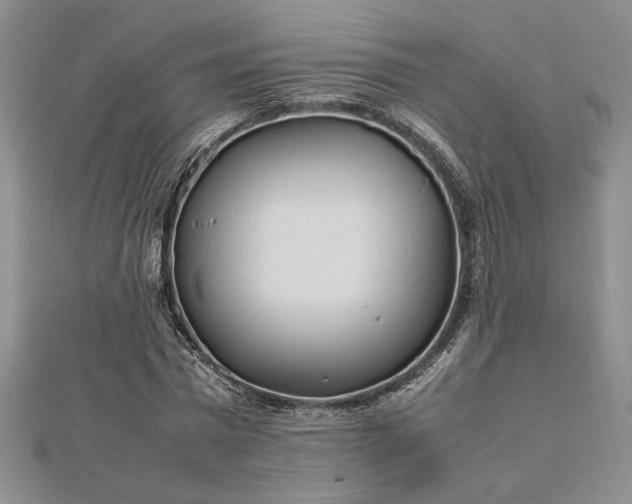 X0000112790777200909041411