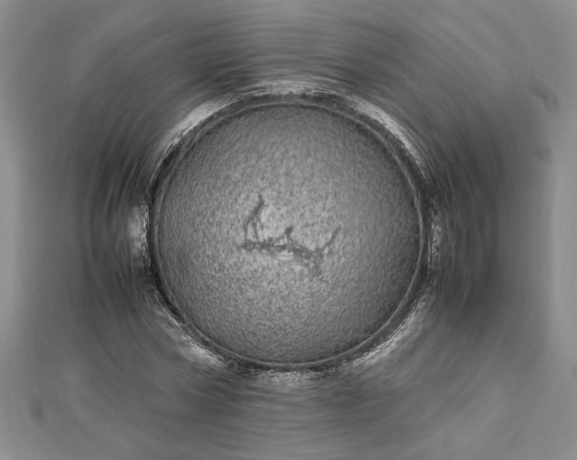 X0000112790778200909041411