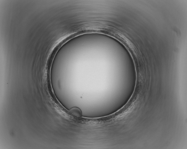 X0000112790779200909041411