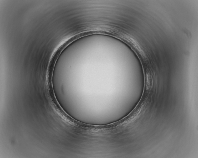 X0000112790780200909041411