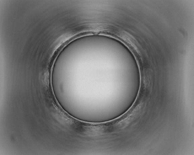 X0000112790781200909041411