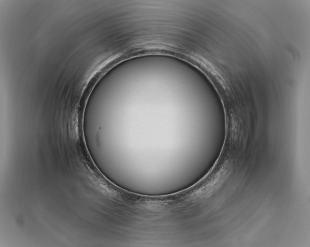 X0000112790782200909041411