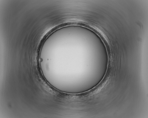 X0000112790783200909041411