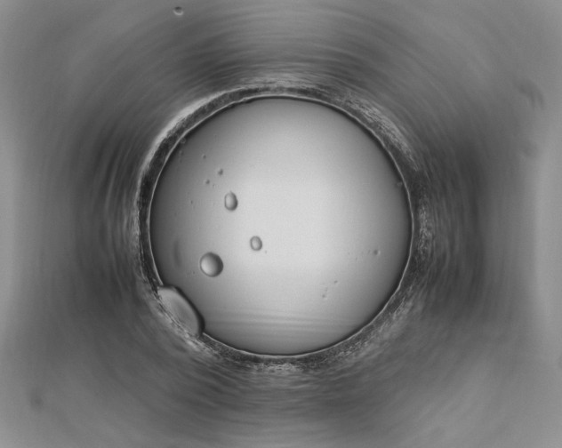 X0000112790784200909041411