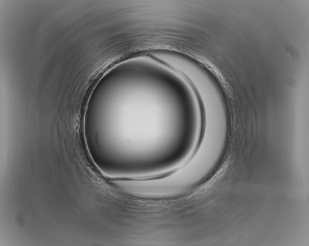 X0000112790785200909041411