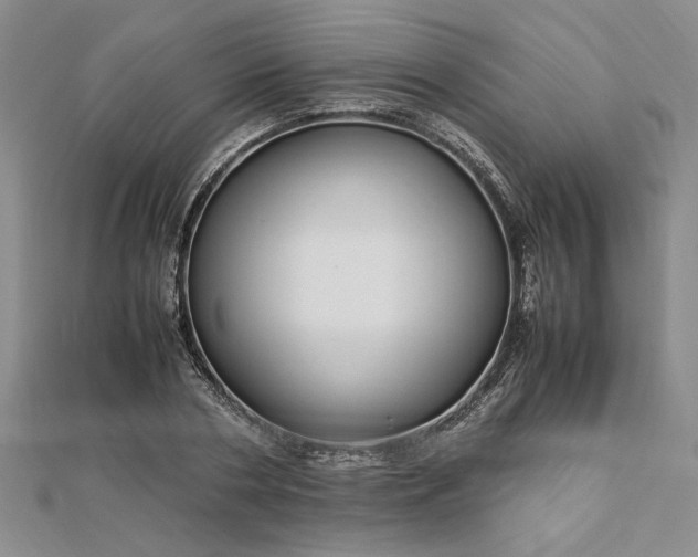 X0000112790786200909041411