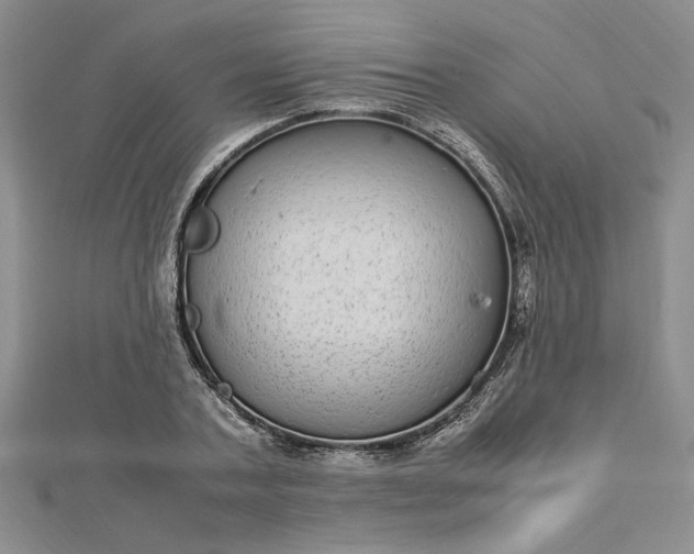 X0000112790787200909041411