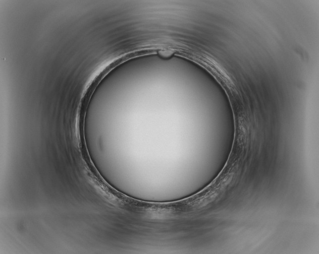 X0000112790788200909041411