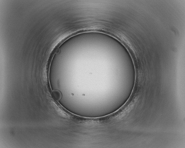 X0000112790789200909041411