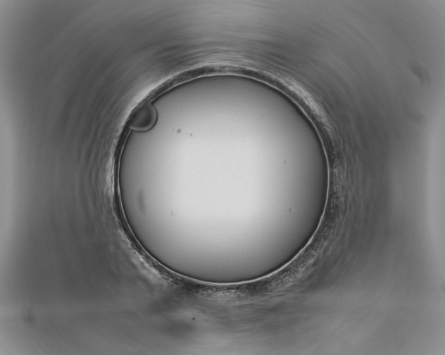 X0000112790791200909041411