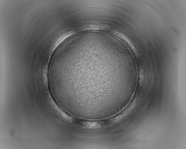 X0000112790794200909041411