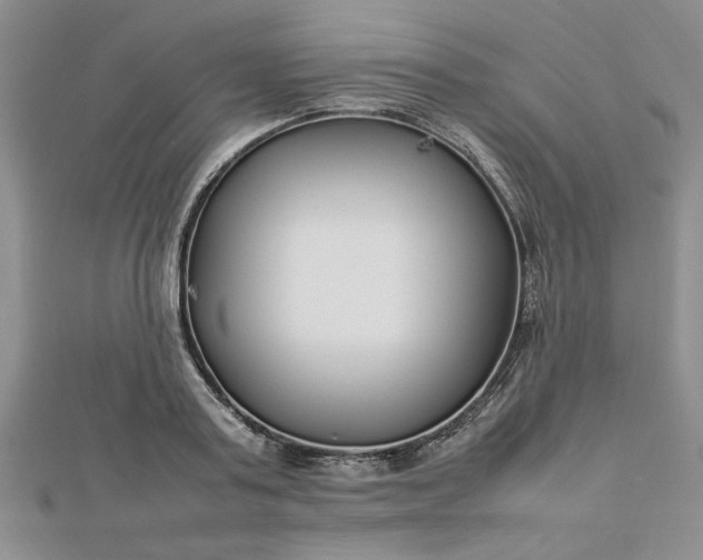 X0000112790795200909041411